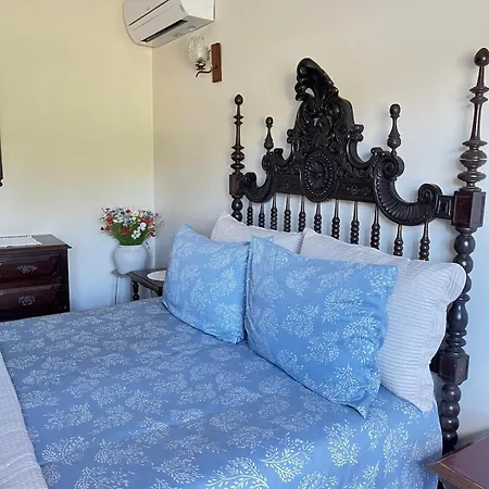 Casa Leonor - The Grandma's House Pombal (Leiria)