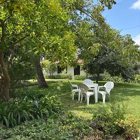 Casa Leonor - The Grandma's House Appartamento Pombal (Leiria)