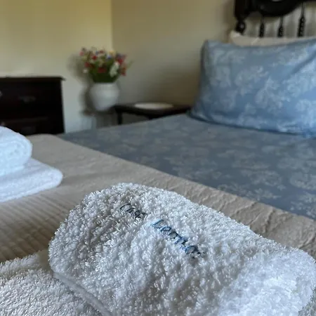 Appartamento Casa Leonor - The Grandma's House Pombal (Leiria)
