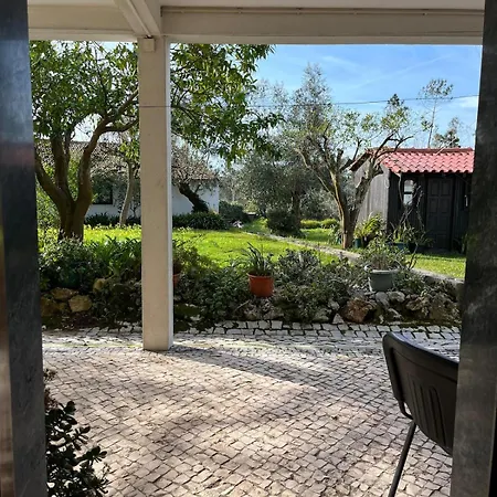 Casa Leonor - The Grandma's House * Pombal (Leiria)