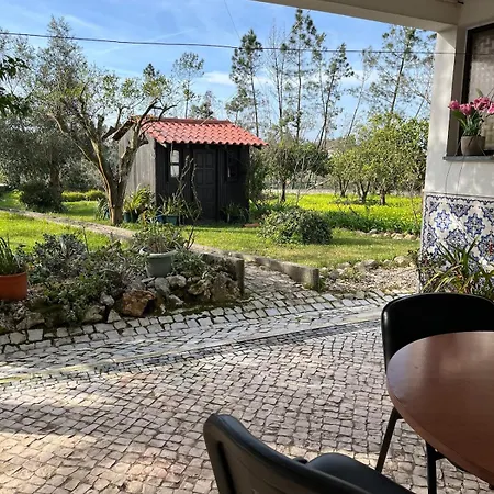 Casa Leonor - The Grandma's House * Pombal (Leiria)
