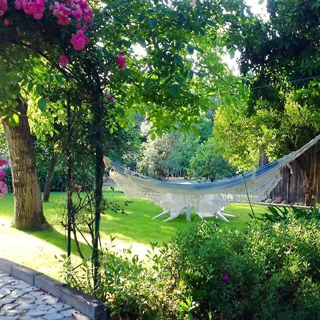 Appartamento Casa Leonor - The Grandma's House Pombal (Leiria)